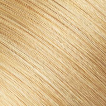 14/22 — Golden Blonde hair shade reference