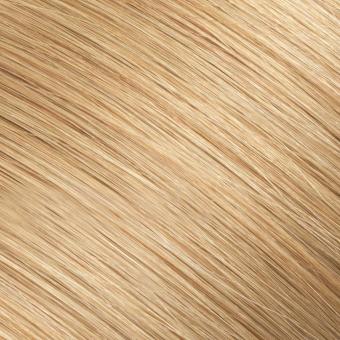 14 — Warm Honey hair shade reference