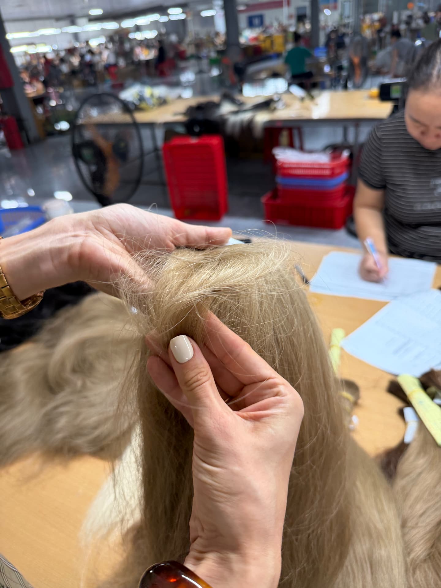 Light-coloured hair inspected by hand while its production record is completed