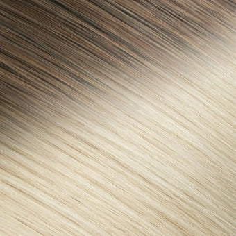 R4A-60 — Rooted Platinum hair shade reference
