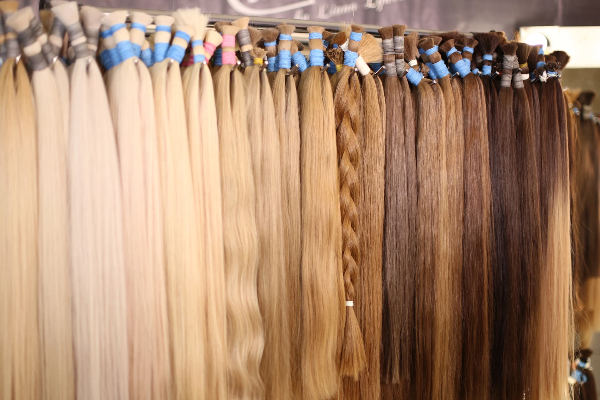 Wall of developed RemyPatra shades hanging in a professional stockist display
