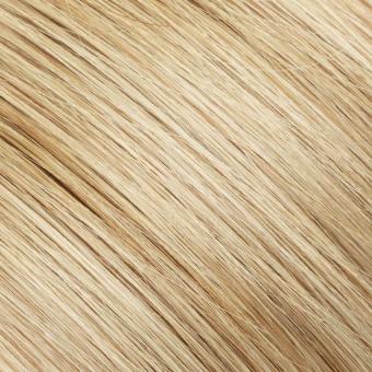18/22 — Ash Blonde hair shade reference