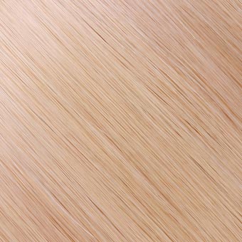 16 — Champagne Blonde hair shade reference