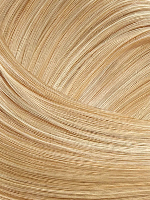 BL14/BL24 — Bleached · Golden Platinum hair swatch