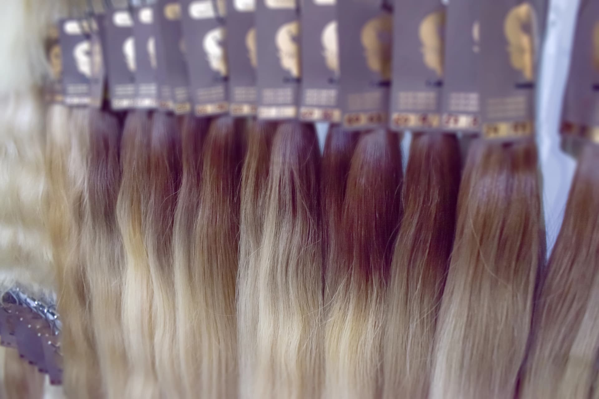 Rooted and ombré lengths hung in graded order
