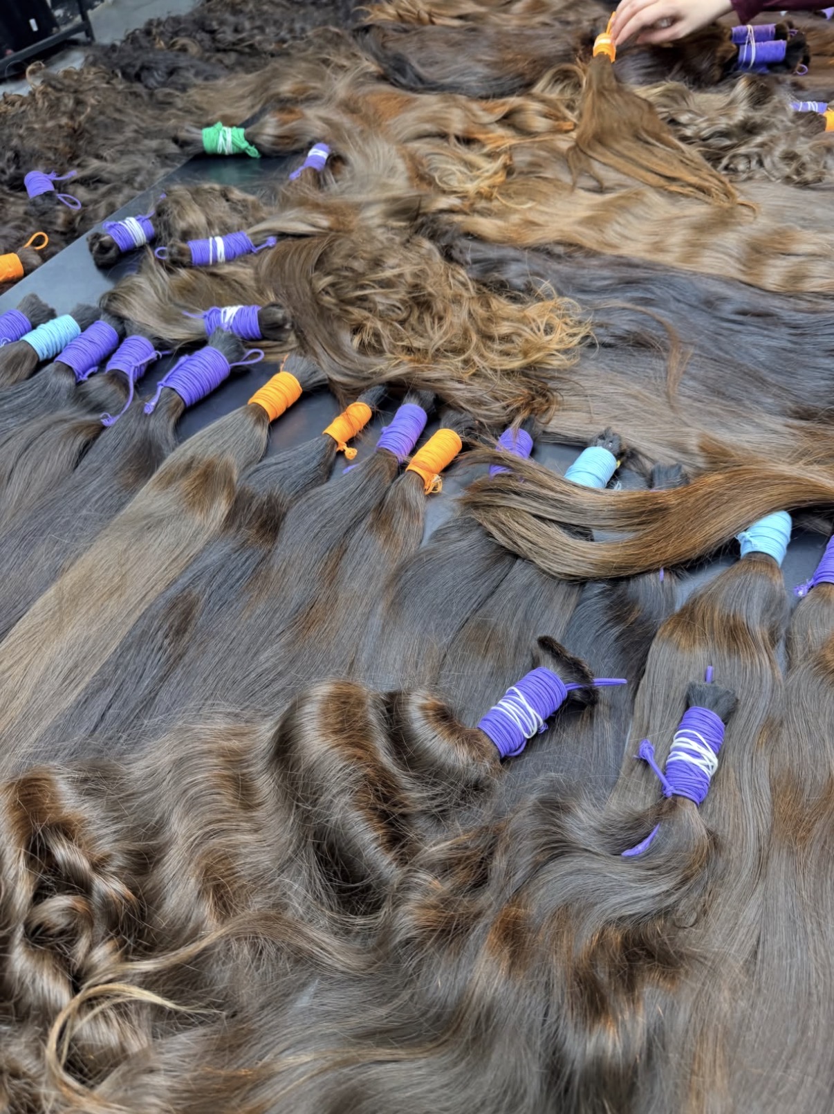 Middle Eastern brown virgin ponytails laid out and colour-tagged on the sorting bench