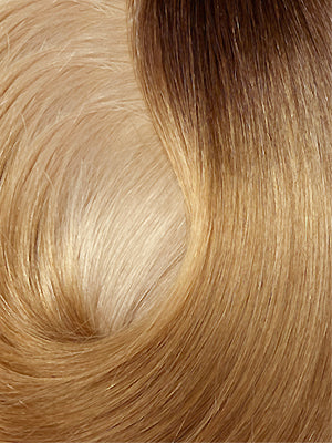 T2/BL22 — Ombre darkest brown to beach hair swatch