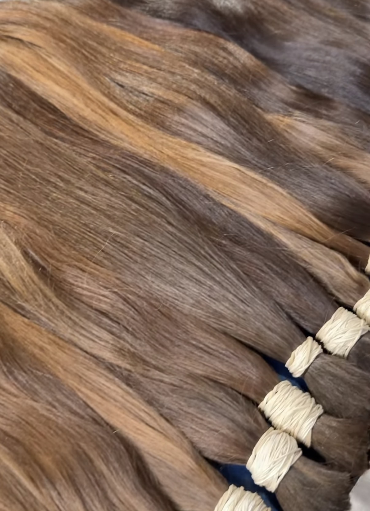 Macro detail of single drawn brown hair showing fine denier and natural highlight variation