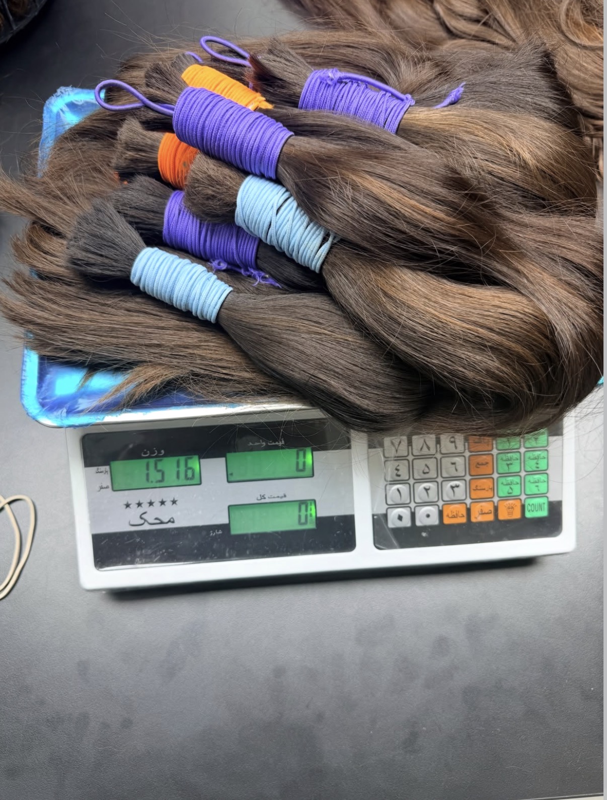 Single-donor brown ponytails weighed at 1.516 kg on the collection scale