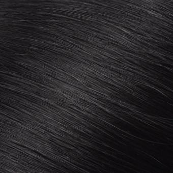 1 — Jet Black hair shade reference
